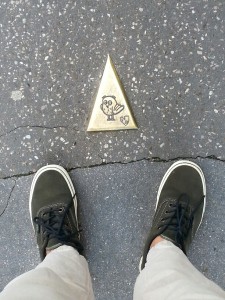 La civetta guida di Digione