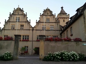 Notare le cicogne: una per ogni tetto