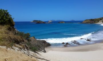 Whangarei _Ocean Beach